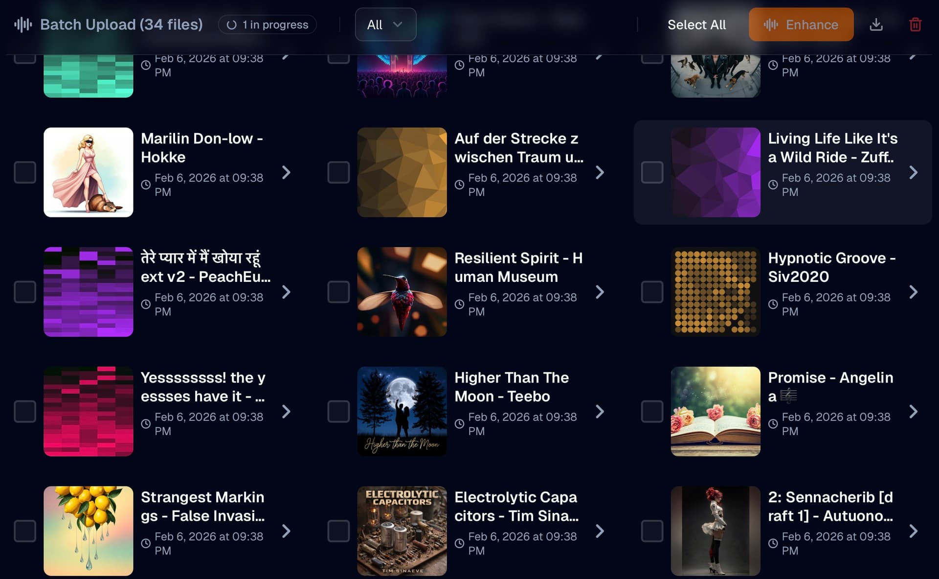 Batch Import Preview